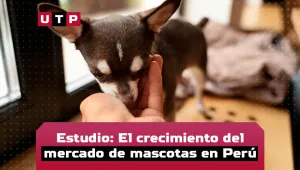 crecimiento de mercado de mascotas
